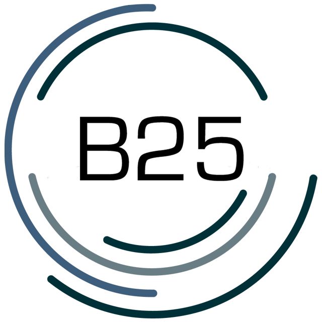 Grupo B25 Plataforma Educacional
